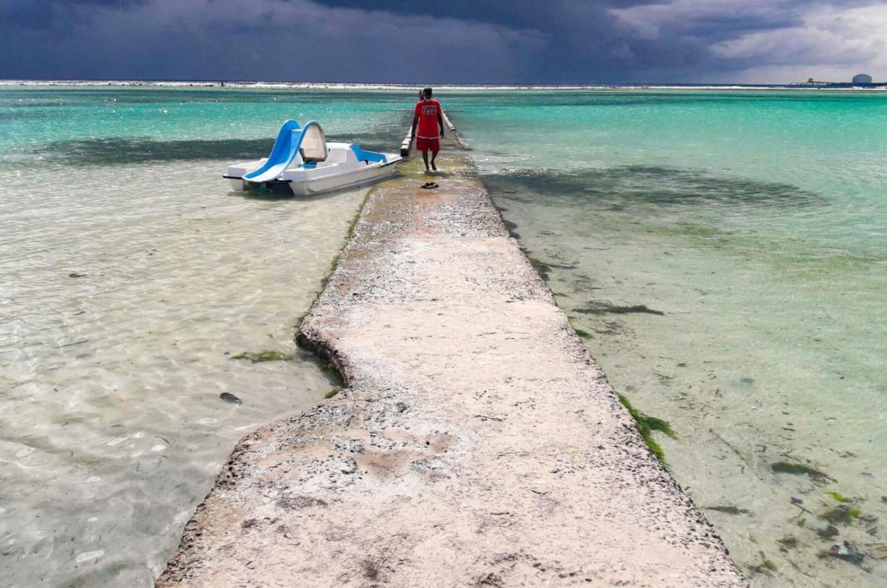 Апартаменти Parco Del Caribe Бока-Чика Екстер'єр фото